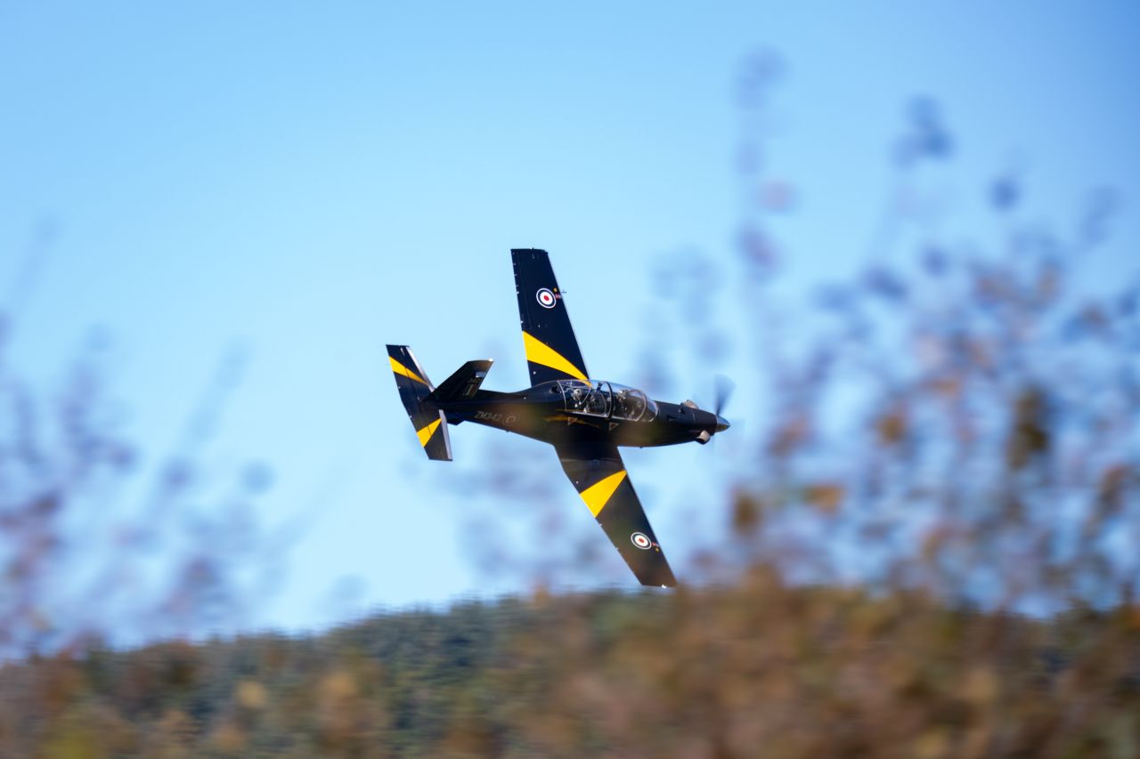 Royal Air Force Texan aircraft flying low over a landscape, featuring a black and yellow livery with a distinctive roundel on the tail, set against a clear blue sky with blurred foliage in the foreground.