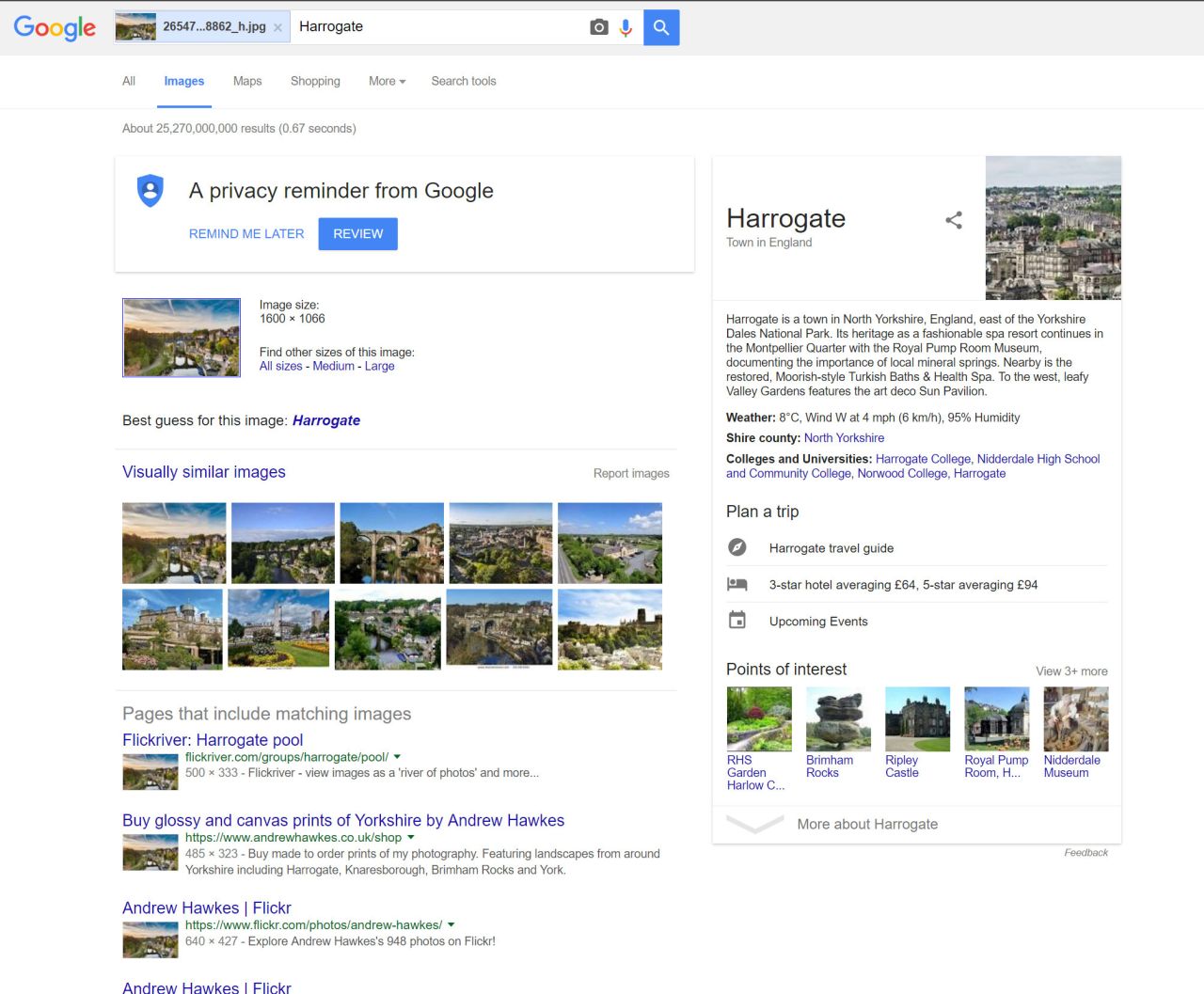 Google image search results