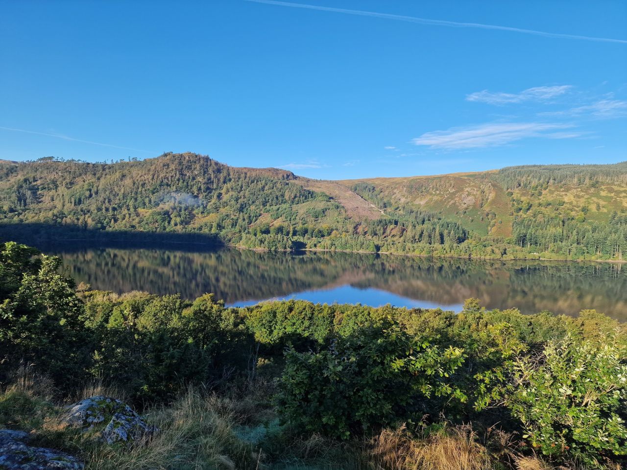 View of Thirlmere Reservior from Station Coppice surrounded by lush green hills and dense forest, with clear blue skies and the reflection of the landscape mirrored in the calm water.