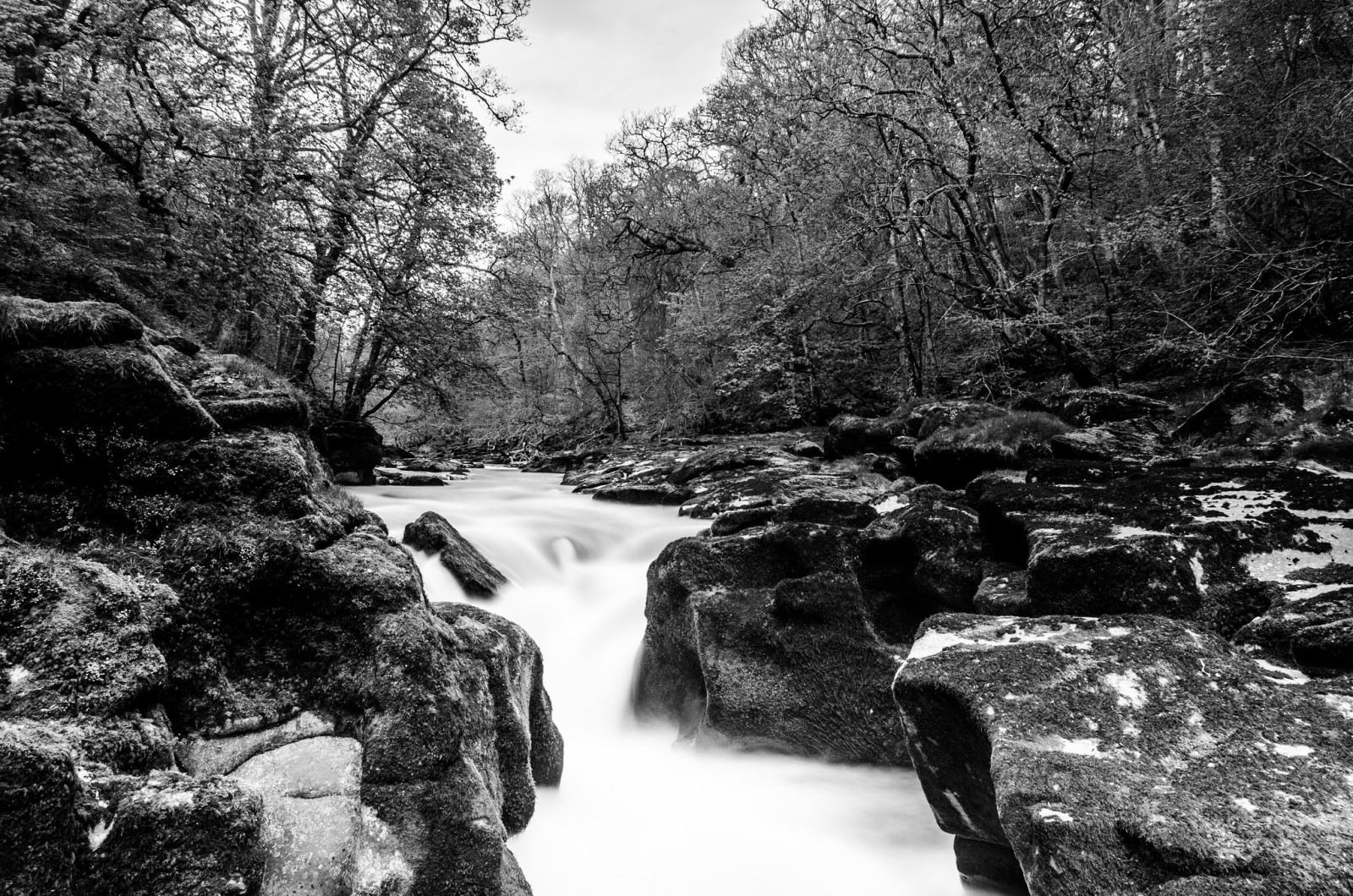 The Strid - Bolton Abbey