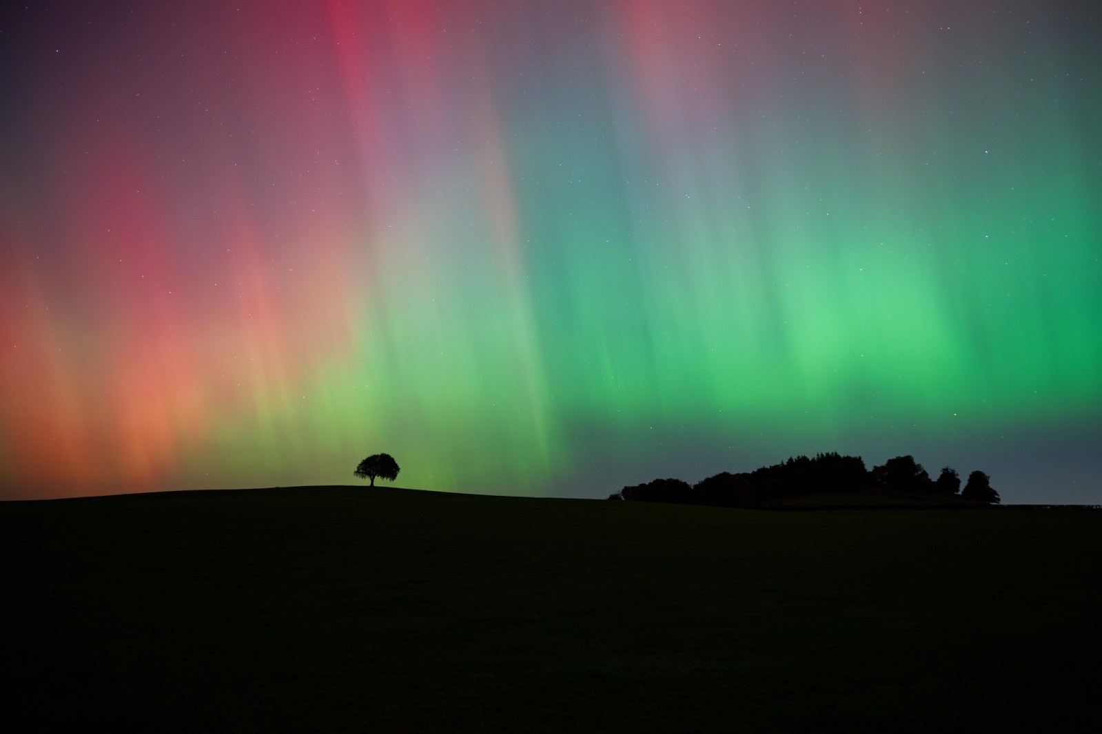 The Lucky Tree Strikes Again - Northern Lights