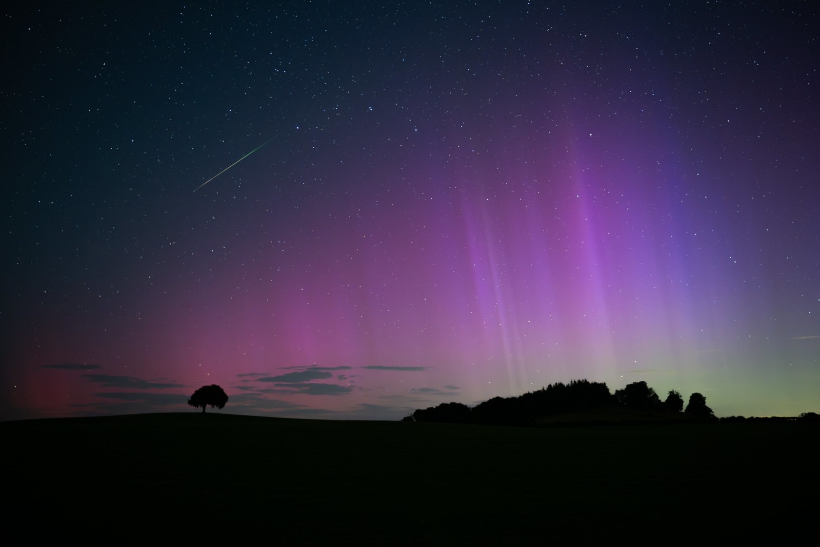 A silhouette of a single tree on the left and a group of trees on the right. The sky is filled with stars and a meteor trail is going across the top of the tree and pillars of Northern Lights on the right.