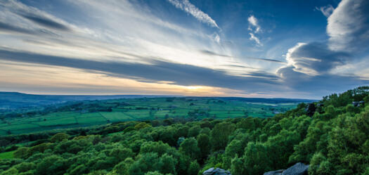 A view from Brimham Rocks